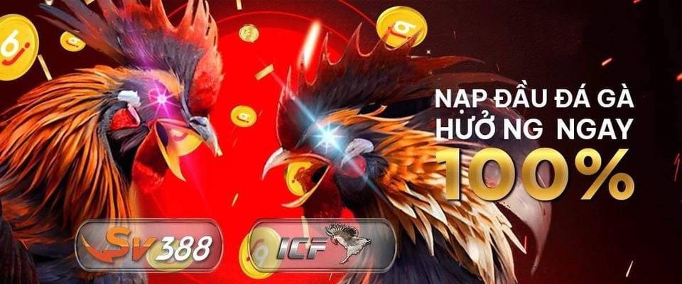 Khám phá w88 link mới nhất để truy cập w88 link an toàn và nhanh chóng