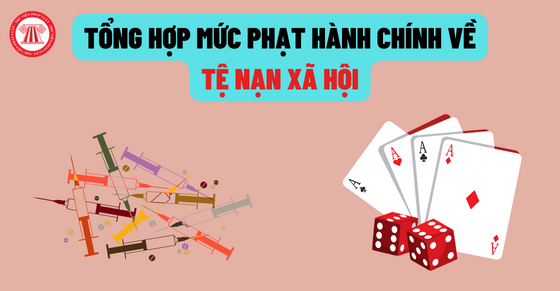 Khám phá trải nghiệm chơi expect hấp dẫn cùng expect cho người mới