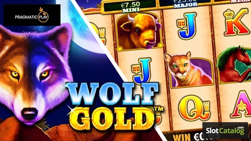Khám phá thế giới board games và những lợi ích bất ngờ từ các board games hấp dẫn