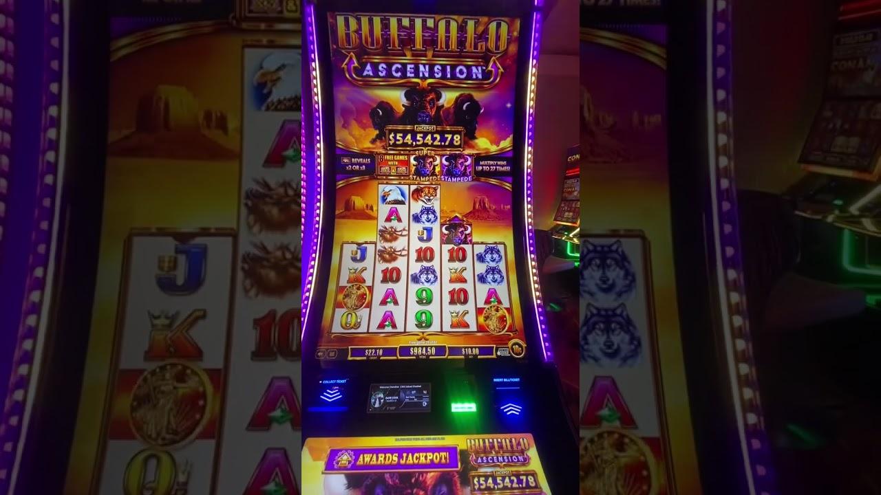 Trải nghiệm đá gà casino trực tiếp hấp dẫn và những bí quyết thắng lớn khi chơi đá gà casino trực tiếp